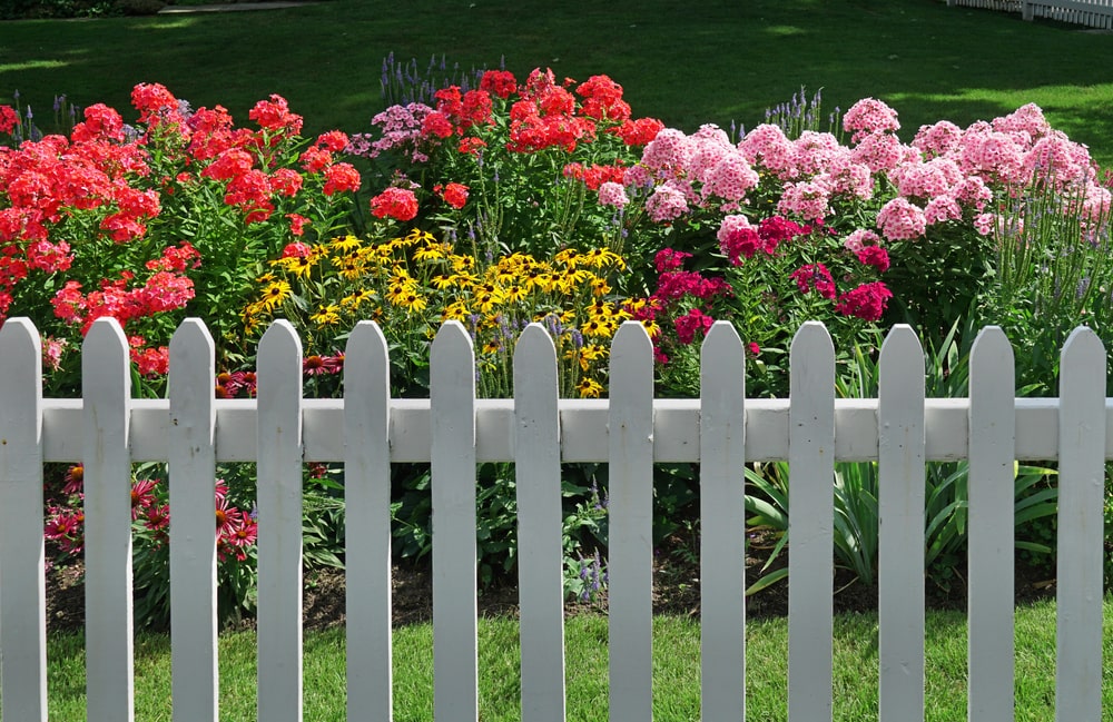 clôture de jardin pas cher 